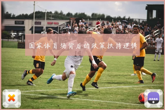 国家体育场背后的政策扶持逻辑