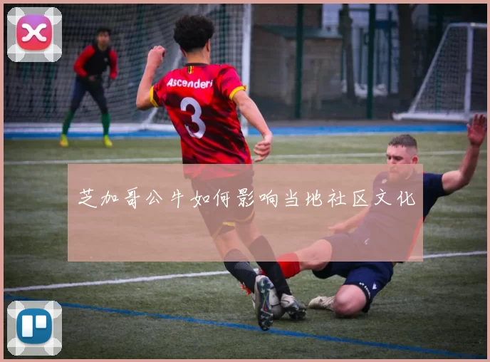 芝加哥公牛如何影响当地社区文化