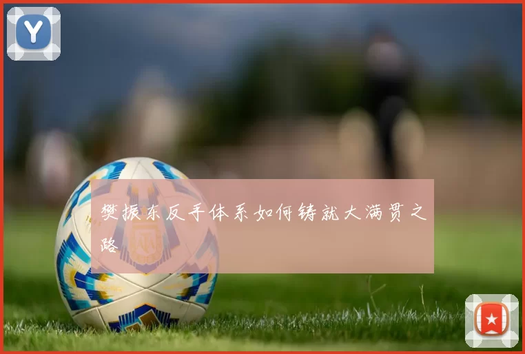 樊振东反手体系如何铸就大满贯之路