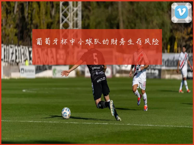 葡萄牙杯中小球队的财务生存风险